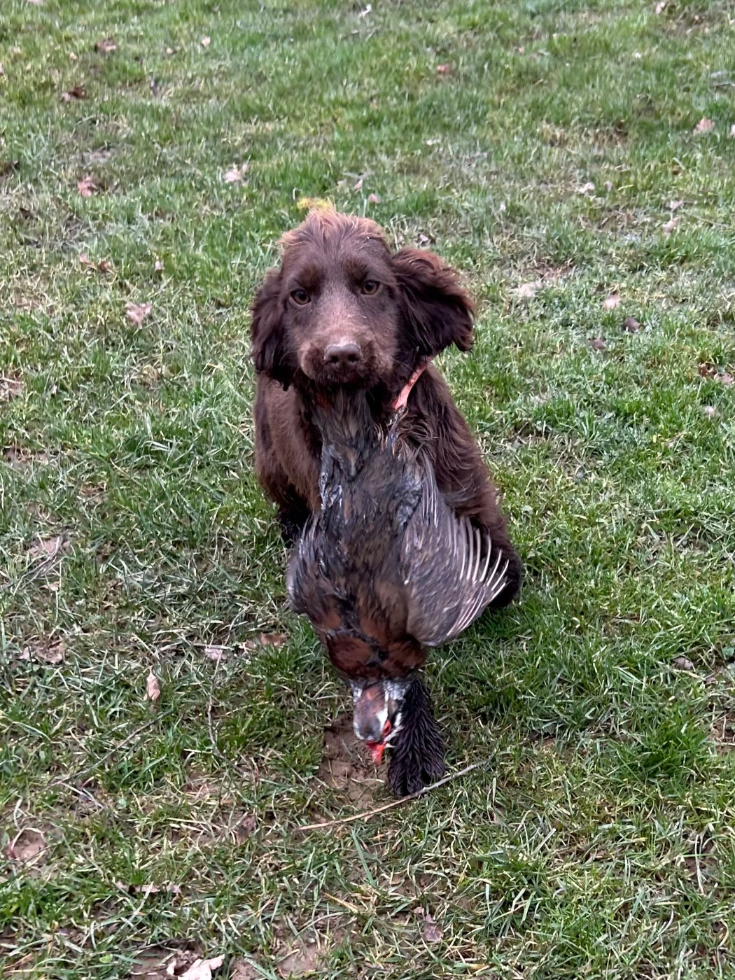 Publication : des Etangs de Dame Blanche