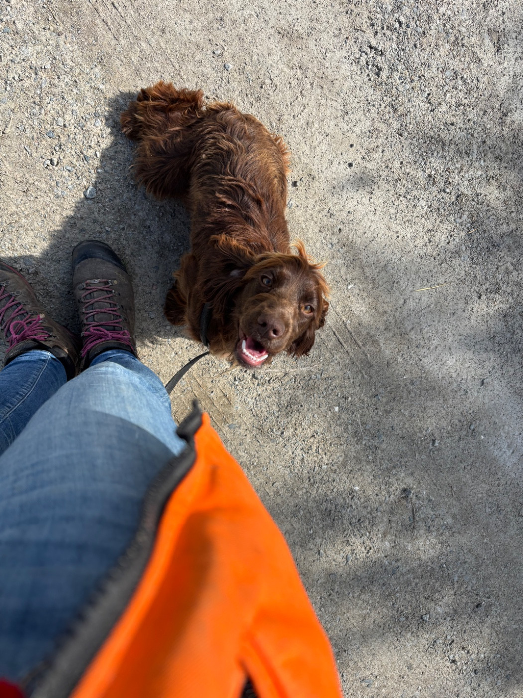 Publication : des Etangs de Dame Blanche