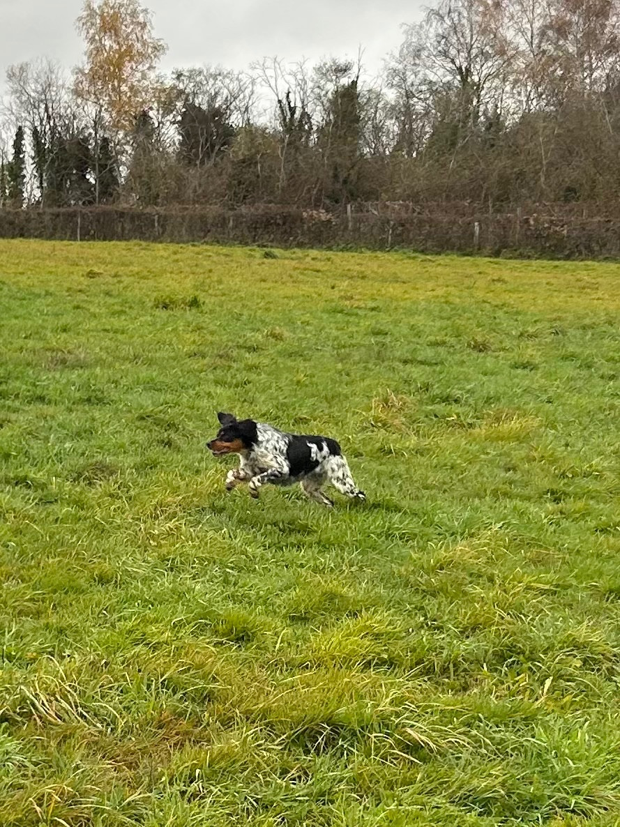 Publication : des Etangs de Dame Blanche