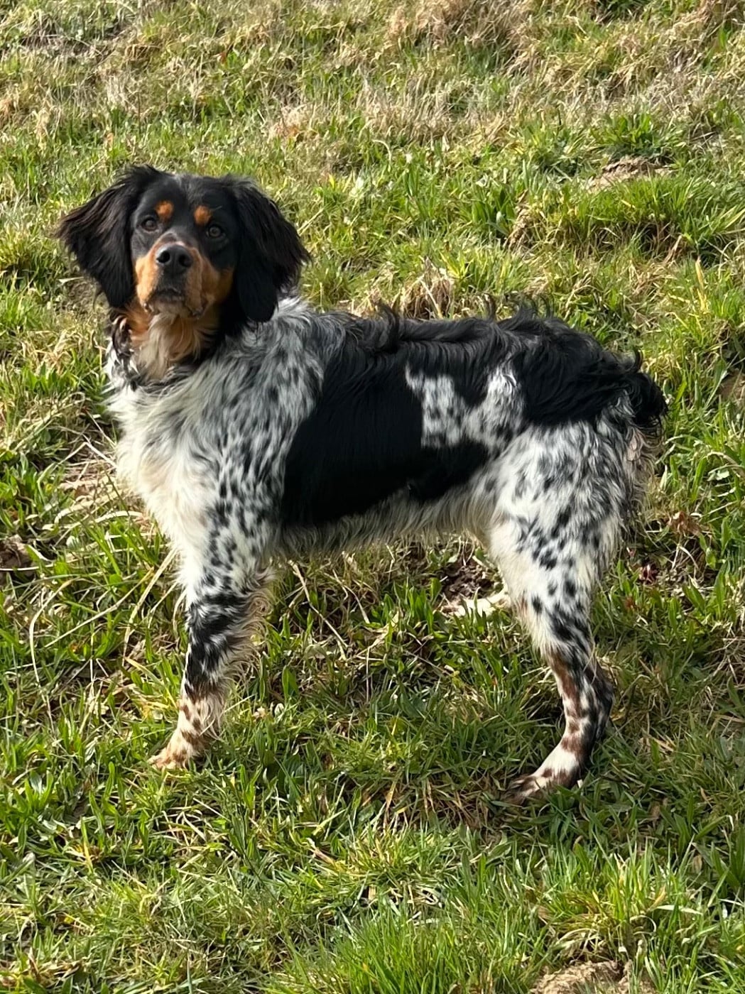 Publication : des Etangs de Dame Blanche