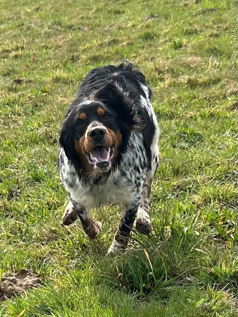 Publication : des Etangs de Dame Blanche