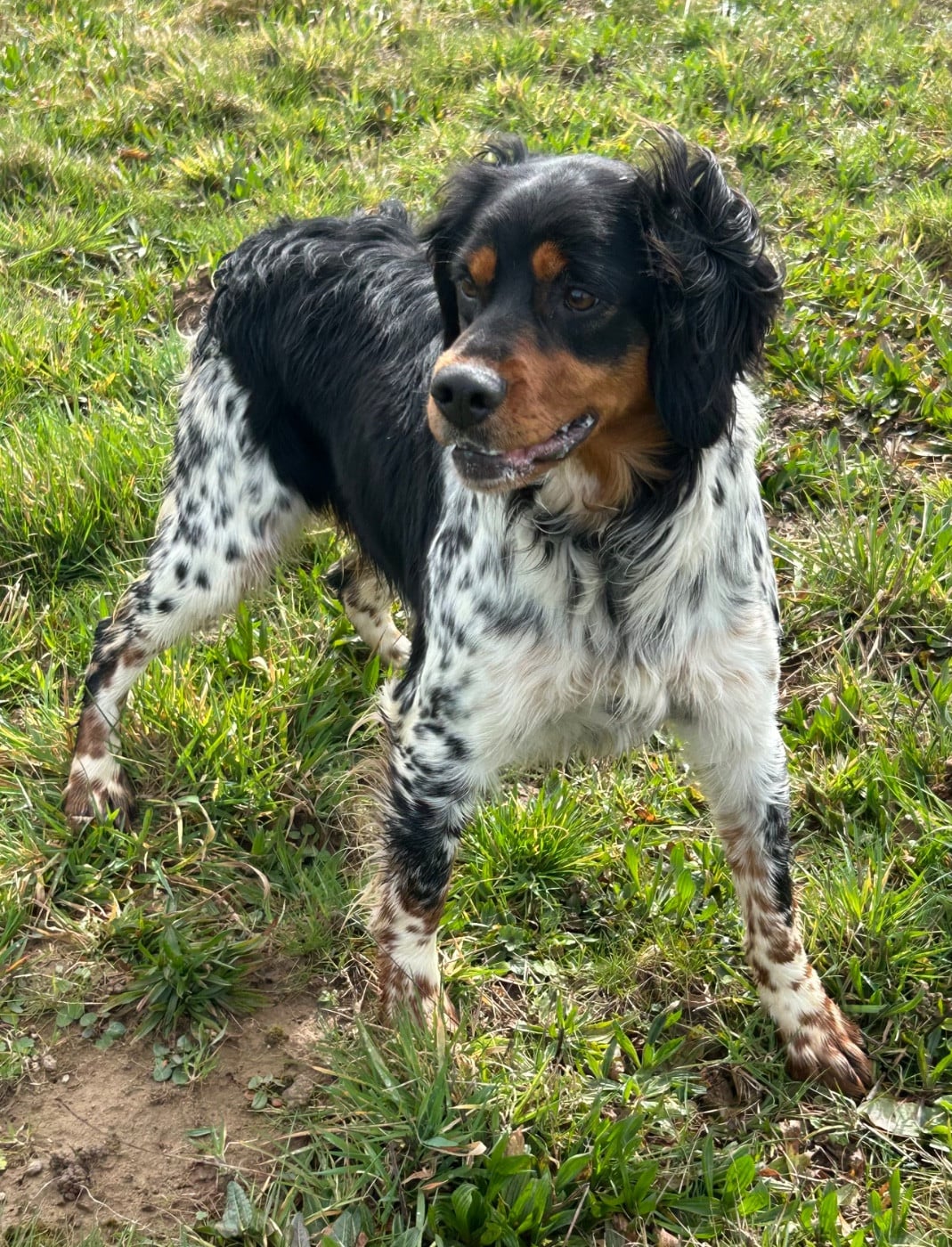 Publication : des Etangs de Dame Blanche