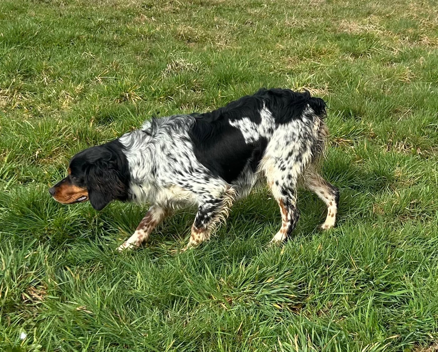 Publication : des Etangs de Dame Blanche