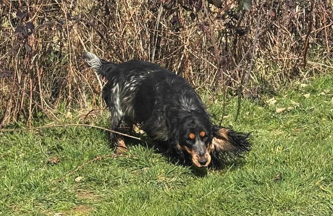 Publication : des Etangs de Dame Blanche