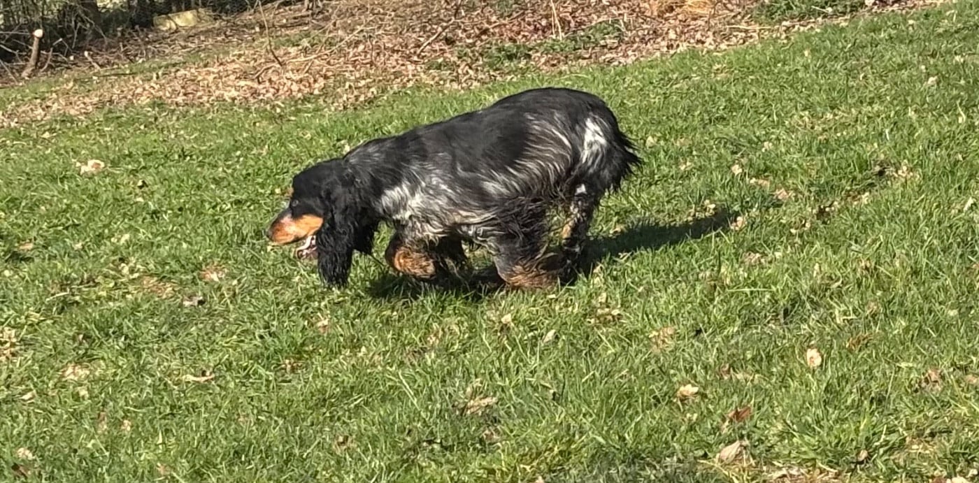 Publication : des Etangs de Dame Blanche