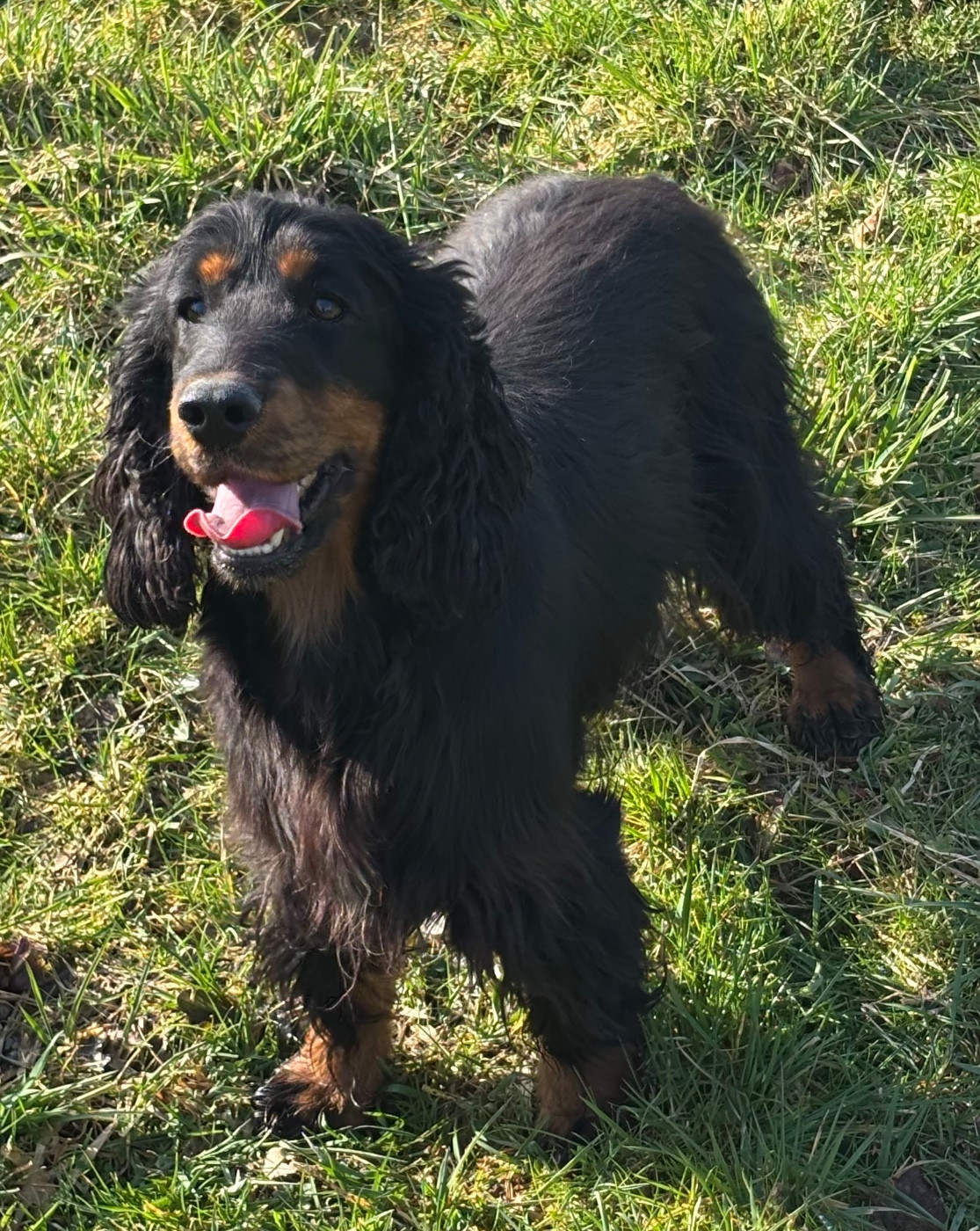 Vodka des Etangs de Dame Blanche