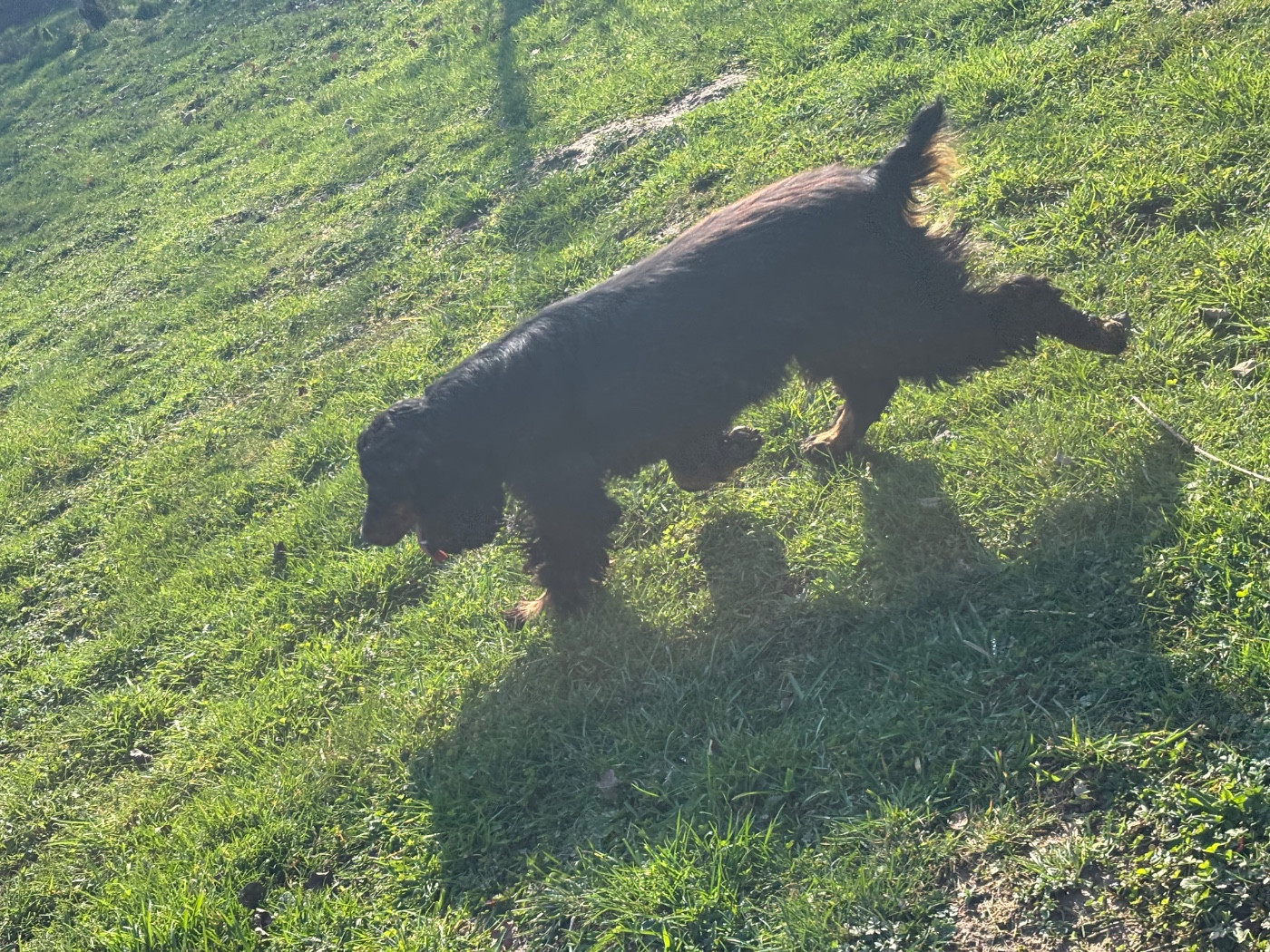 Vodka des Etangs de Dame Blanche