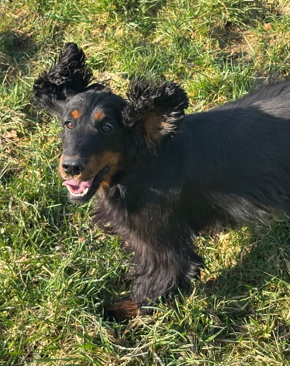 Vodka des Etangs de Dame Blanche