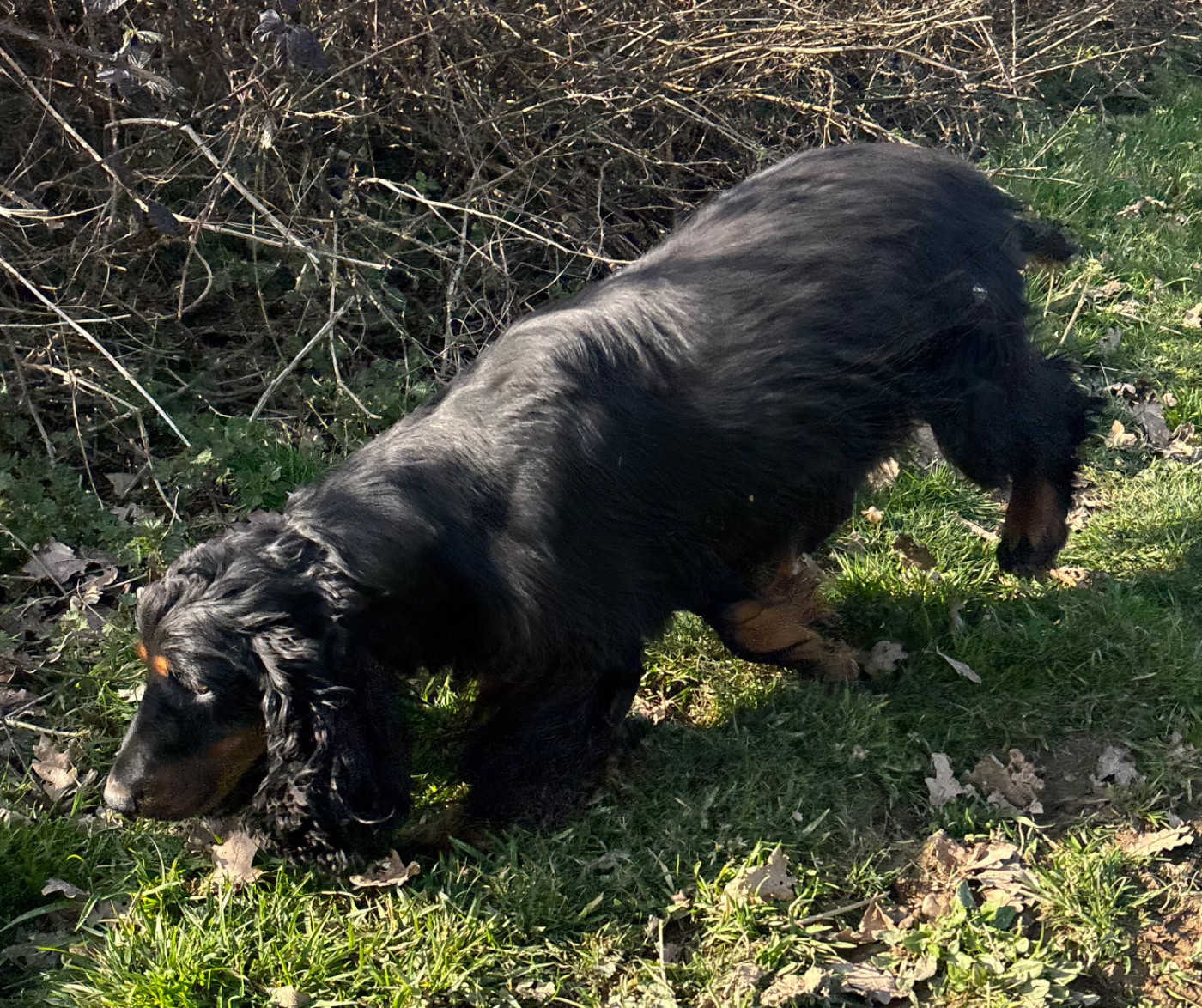 Vodka des Etangs de Dame Blanche