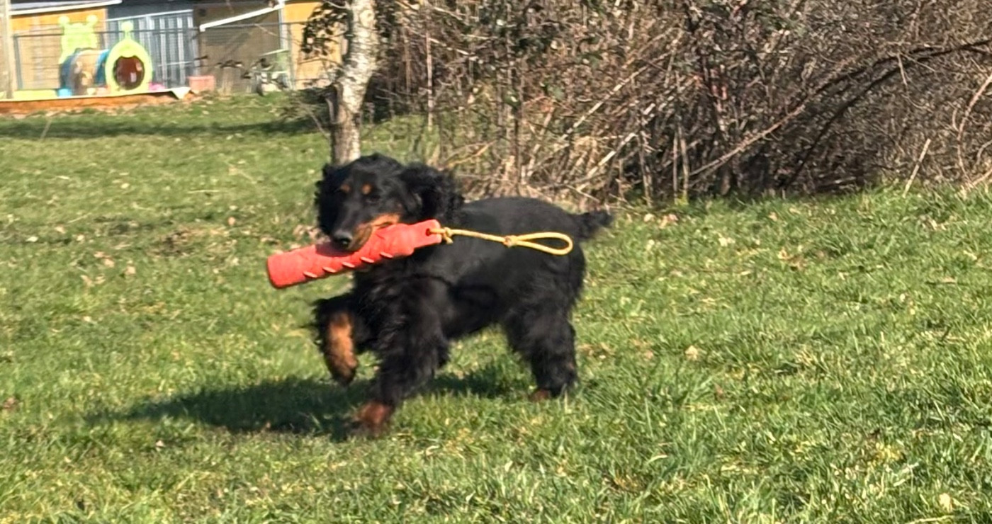 Vodka des Etangs de Dame Blanche