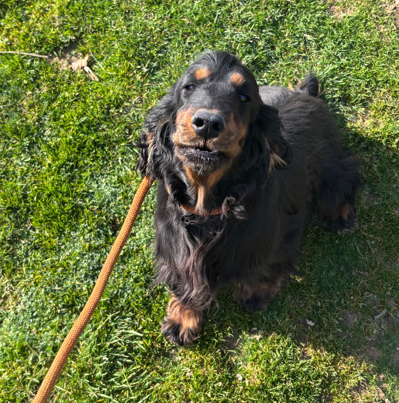 Vodka des Etangs de Dame Blanche