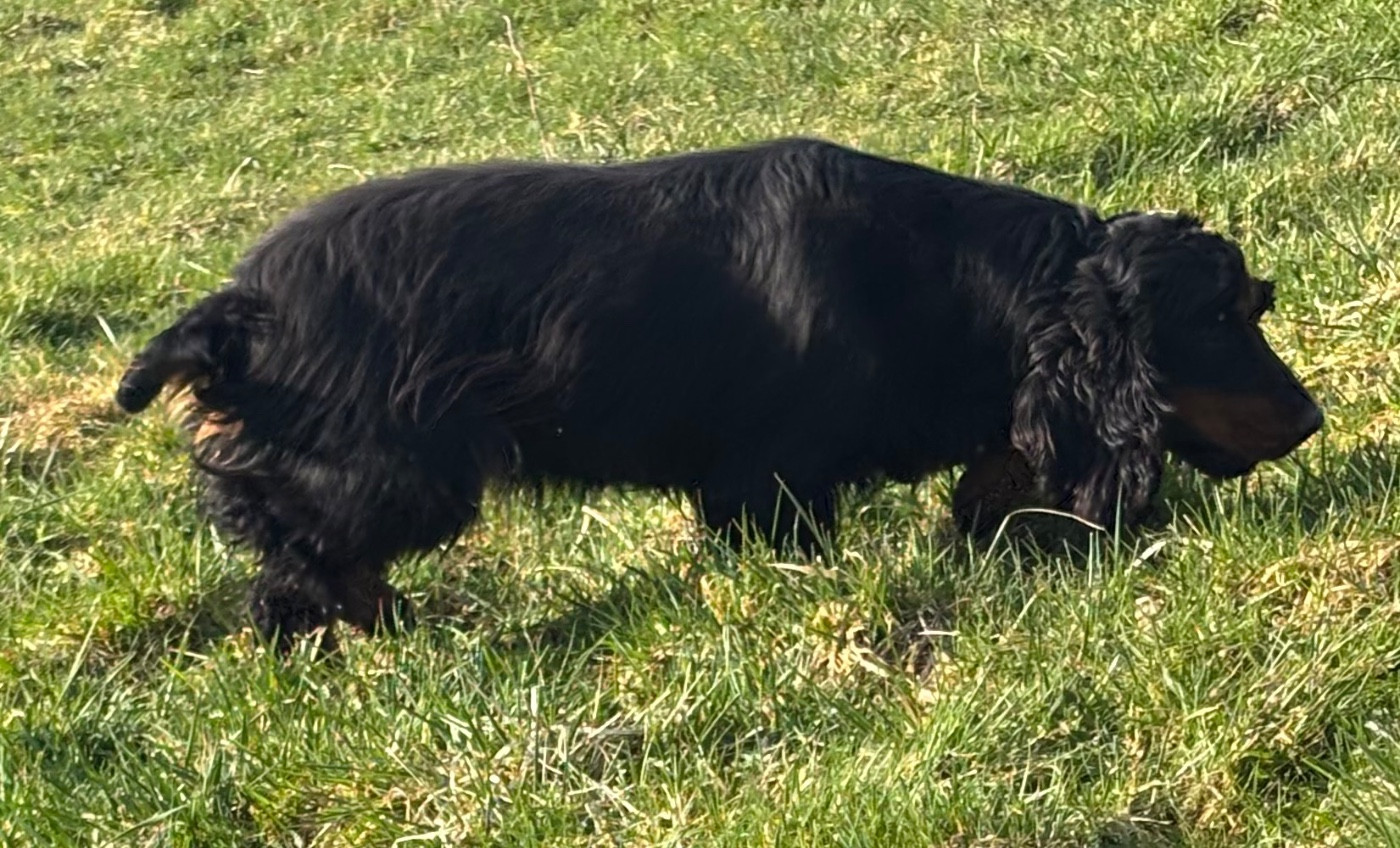 Vodka des Etangs de Dame Blanche