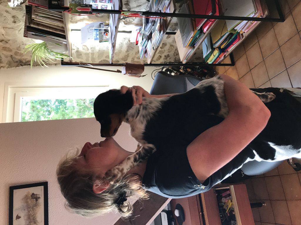 Publication : des Etangs de Dame Blanche