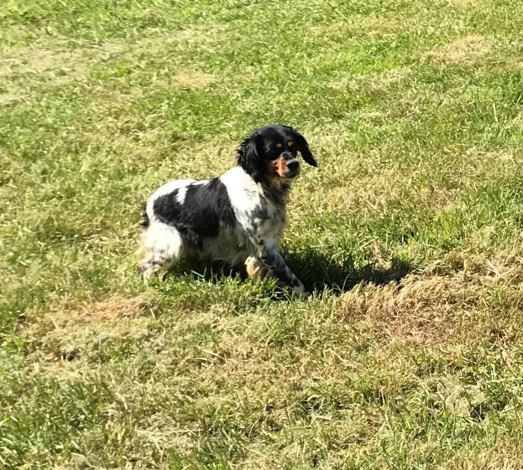 Publication : des Etangs de Dame Blanche