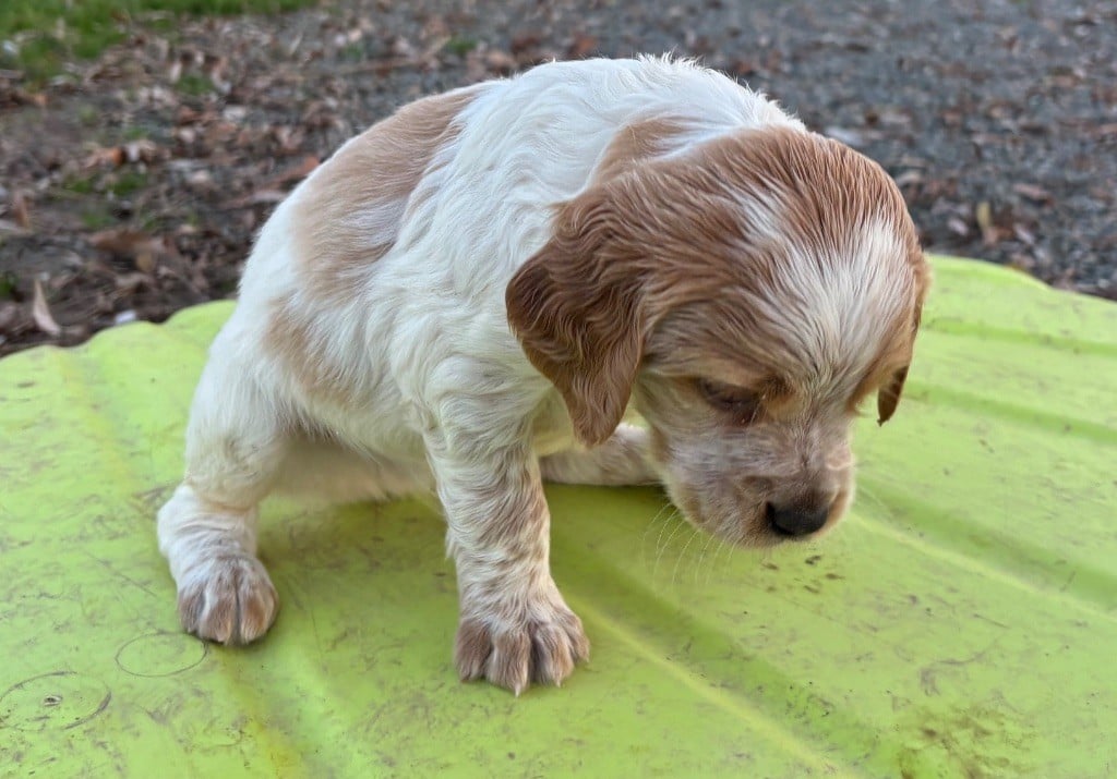 A....................