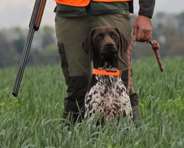 Publication : des terres du moulin de mortagne