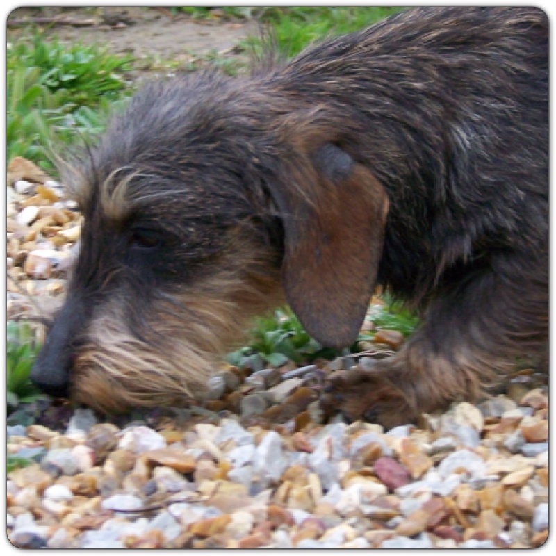 Publication : Du logis de beaumanoir Auteur : Logisdebeaumanoir