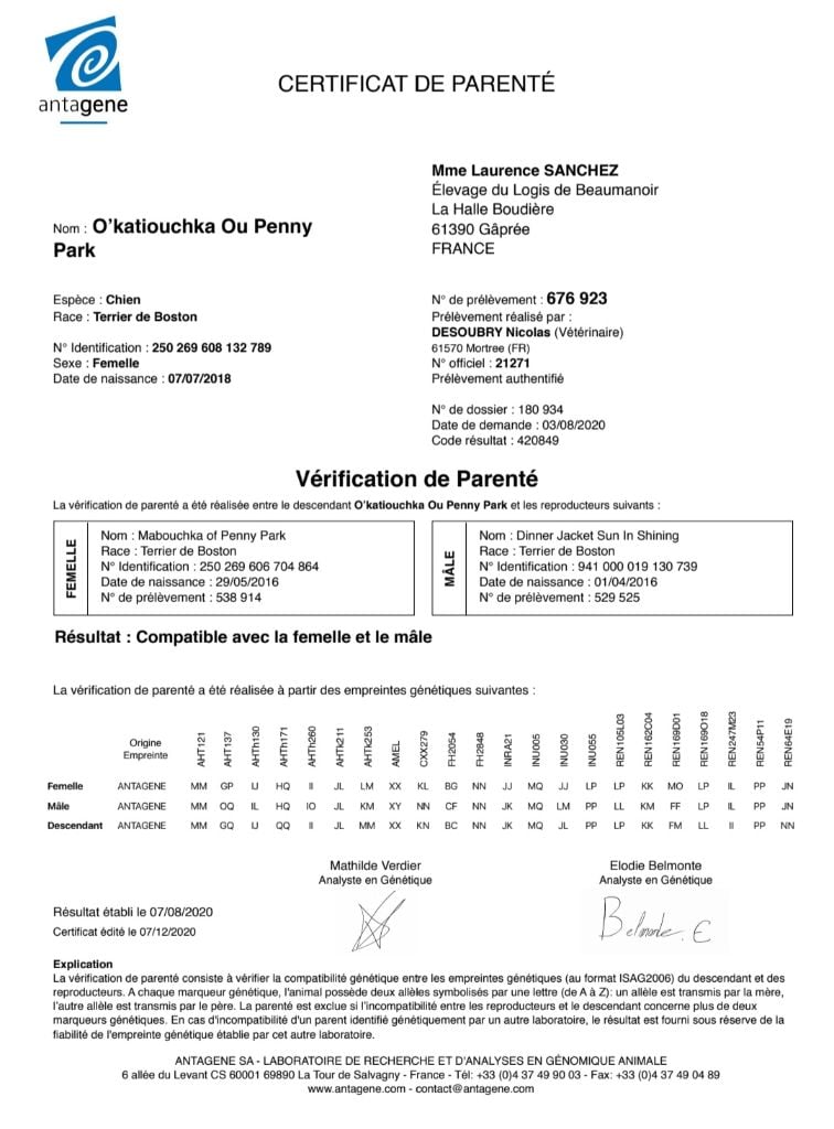 O katioushka of Penny Park