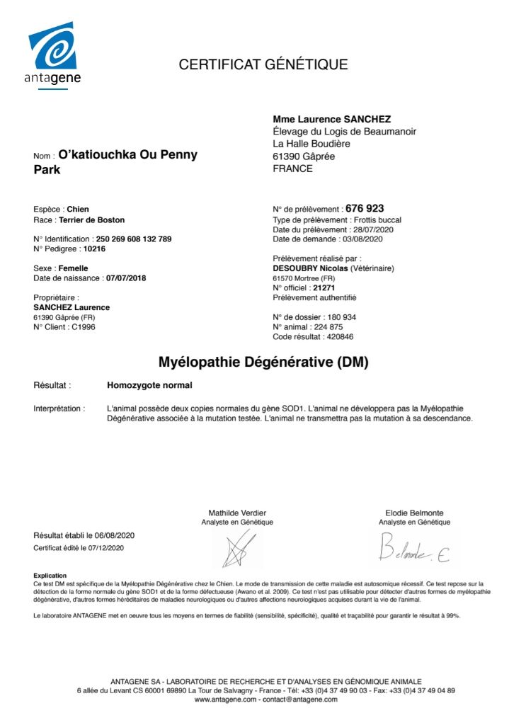 O katioushka of Penny Park