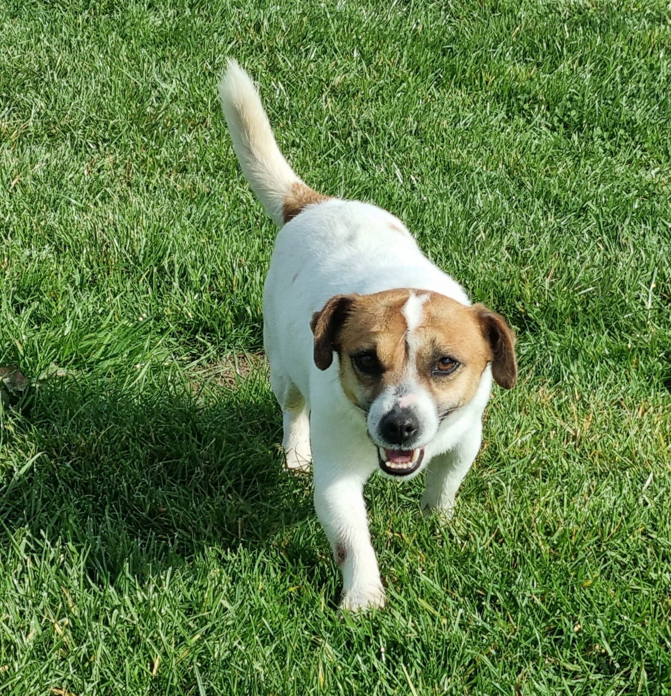 Usb Du logis de beaumanoir