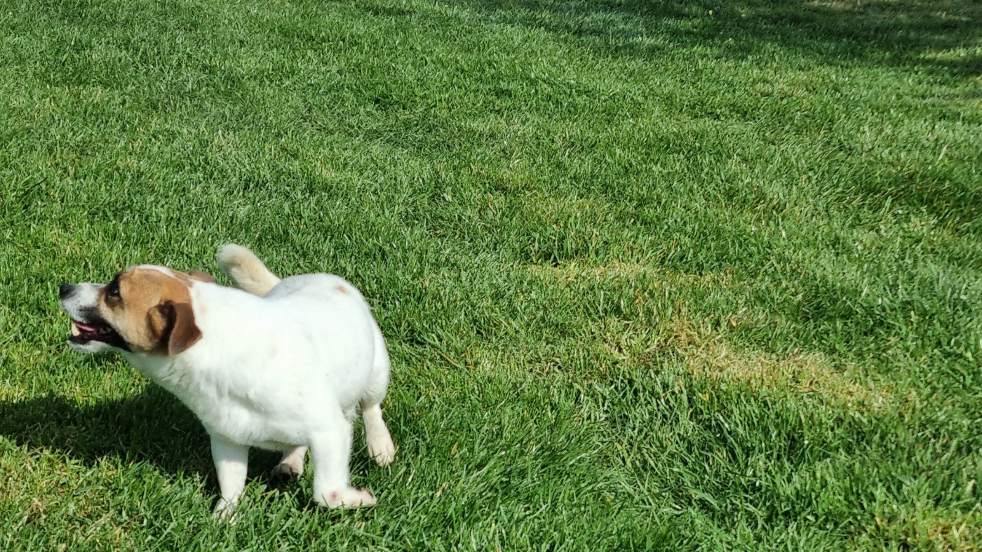 Usb Du logis de beaumanoir