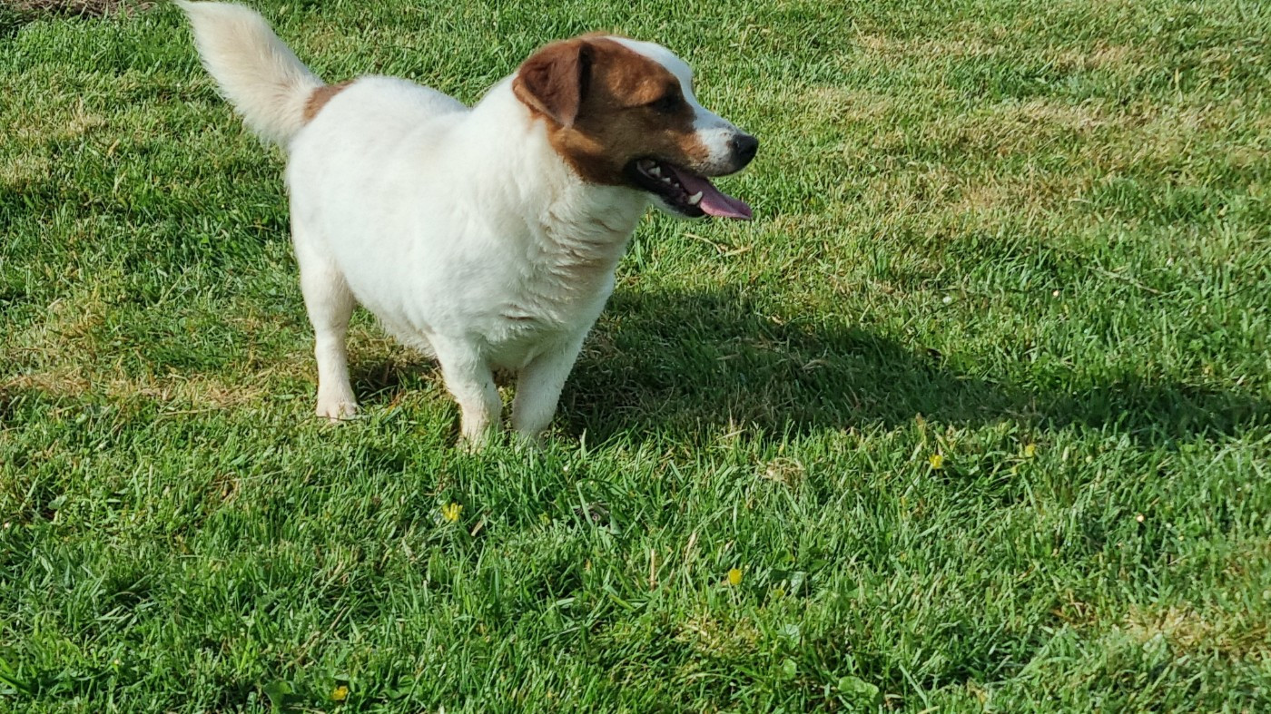 Untel Du logis de beaumanoir