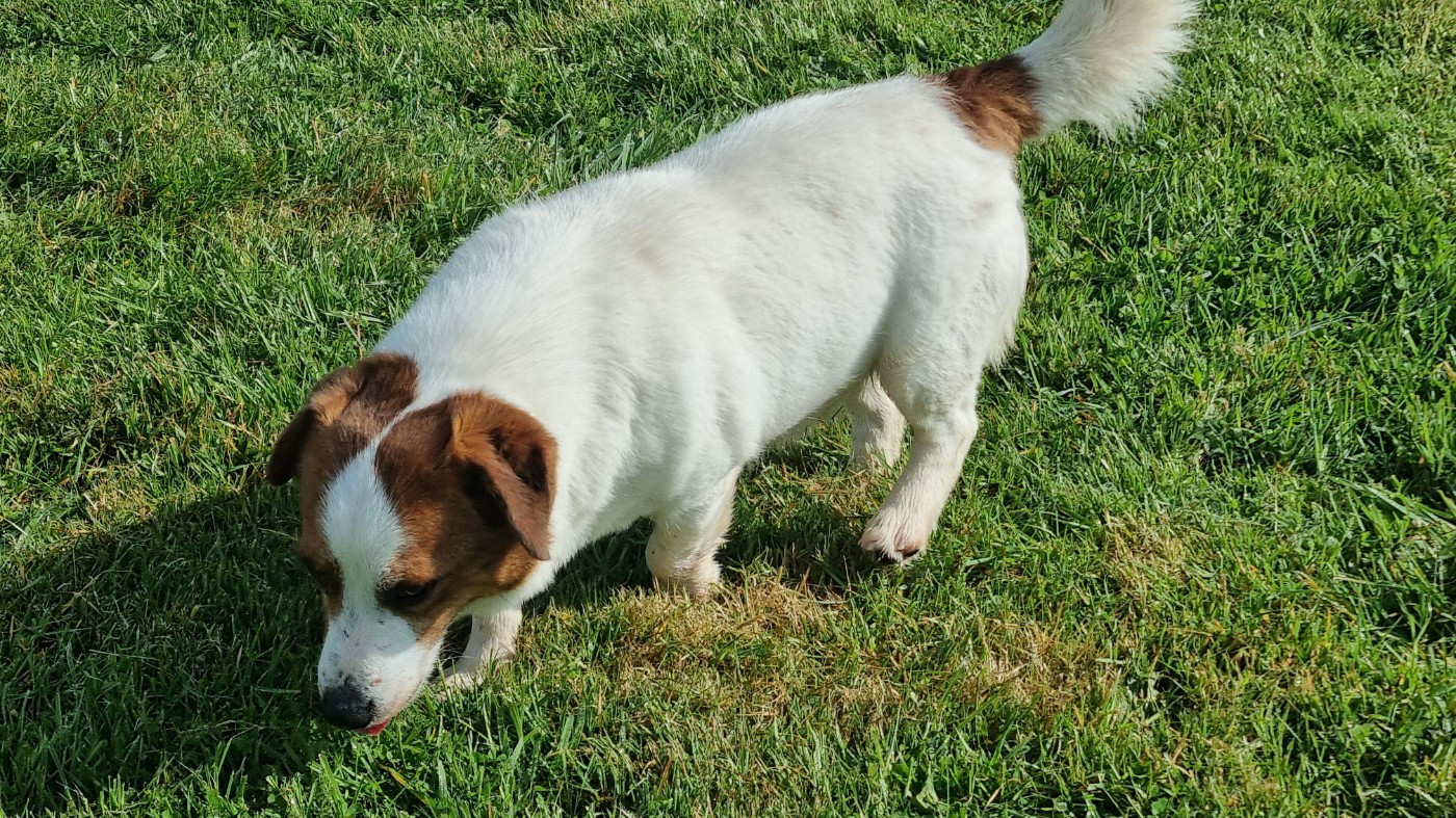 Untel Du logis de beaumanoir