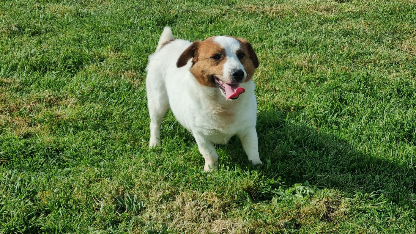 Untel Du logis de beaumanoir