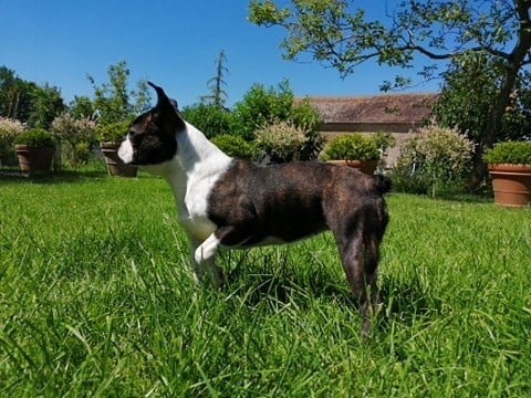 O katioushka of Penny Park