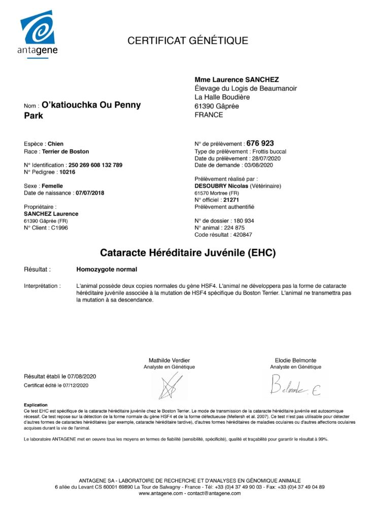 O katioushka of Penny Park