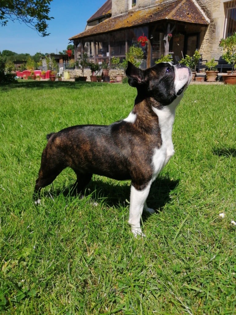 O katioushka of Penny Park