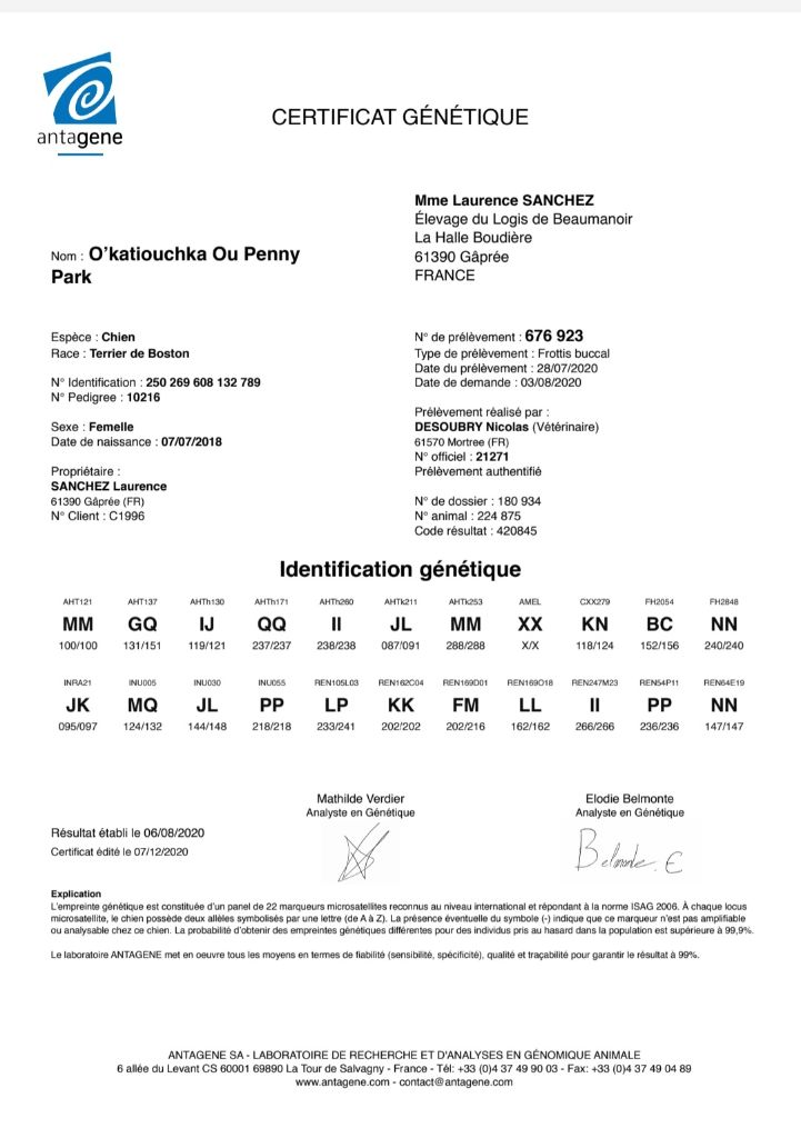 O katioushka of Penny Park