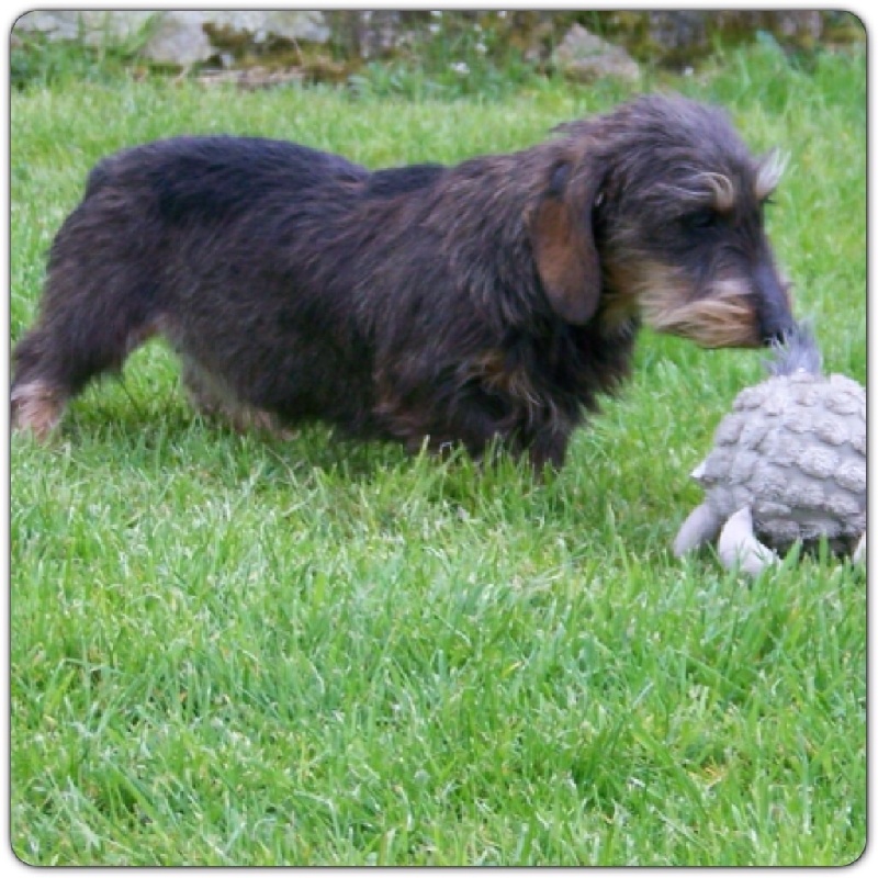 Publication : Du logis de beaumanoir Auteur : Logisdebeaumanoir