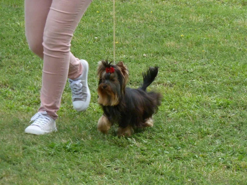 Publication : Du logis de beaumanoir