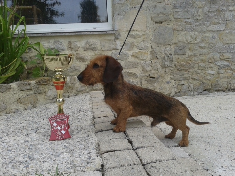 Publication : Du logis de beaumanoir Auteur : Karine