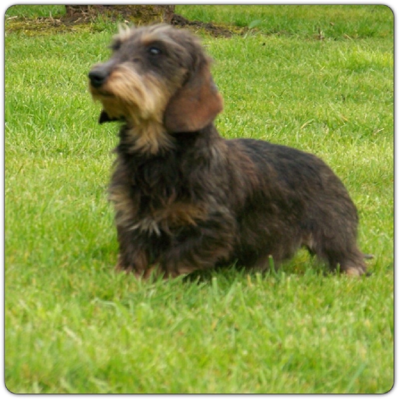 Publication : Du logis de beaumanoir Auteur : Logisdebeaumanoir