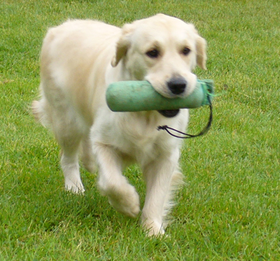 Beautiful music De la Seigneurie des Vignes