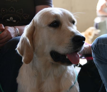 Beautiful music De la Seigneurie des Vignes