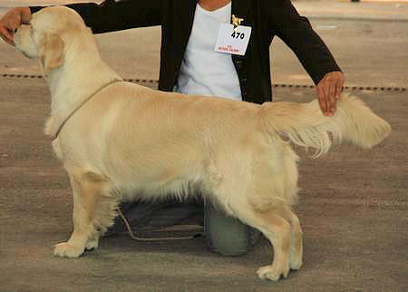 Beautiful love music De la Seigneurie des Vignes