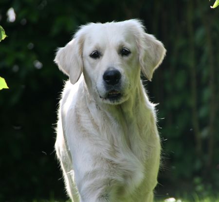 Publication : De la Seigneurie des Vignes