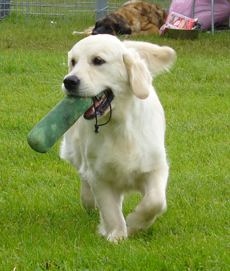 Beautiful love music De la Seigneurie des Vignes