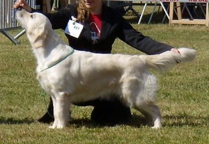 Beautiful love music De la Seigneurie des Vignes