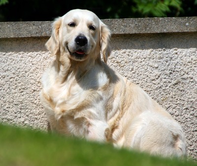 Publication : De la Seigneurie des Vignes