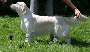 Beautiful love music De la Seigneurie des Vignes