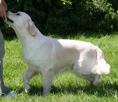 Beautiful love music De la Seigneurie des Vignes