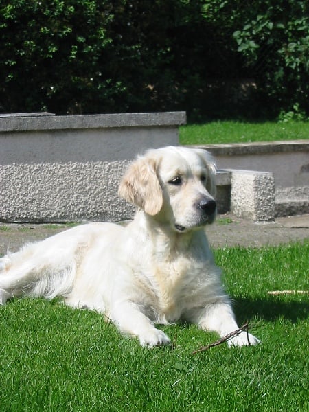 Publication : De la Seigneurie des Vignes