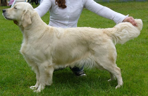 Publication : De la Seigneurie des Vignes