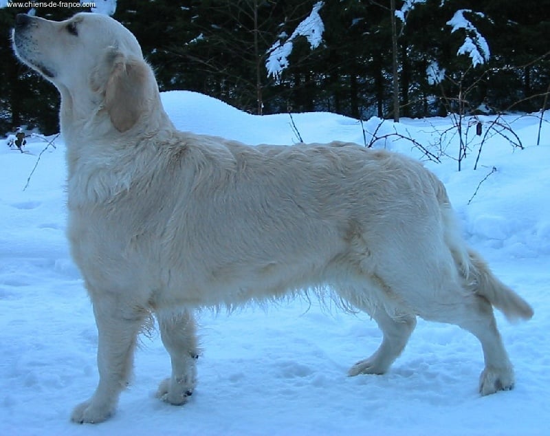 Publication : De la Seigneurie des Vignes