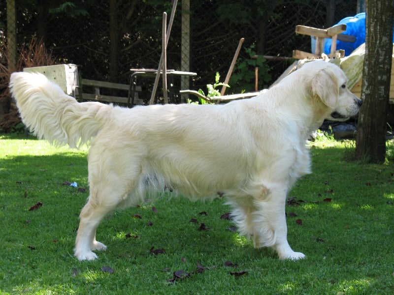 Publication : De la Seigneurie des Vignes