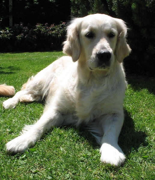 Publication : De la Seigneurie des Vignes